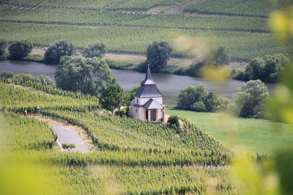 Wein & Gastehaus Hermeshof 호텔 트리텐하임 외부 사진