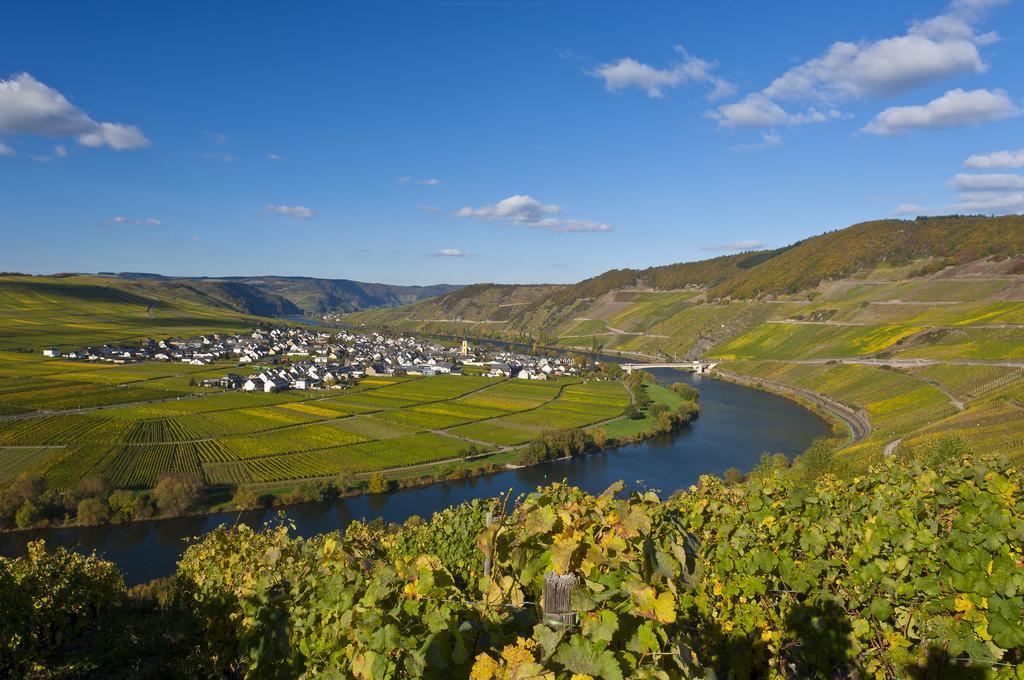 Wein & Gastehaus Hermeshof 호텔 트리텐하임 외부 사진